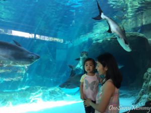 River Safari Aquarium with Kids