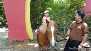 Singapore Zoo Special Experiences Pony Ride