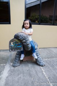Davao City Crocodile Park Turtle Ride