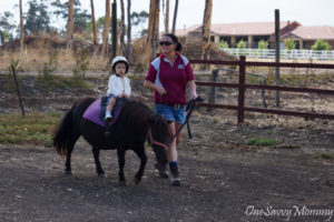 Melbourne Animal Land Pony Ride