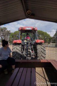 Farm in Melbourne Animal Land Tractor