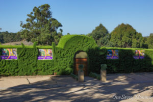 Enchanted Garden Park Maze