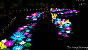 Gardens By the Bay Autumn Festival Floating Lanterns Dragonfly Bridge